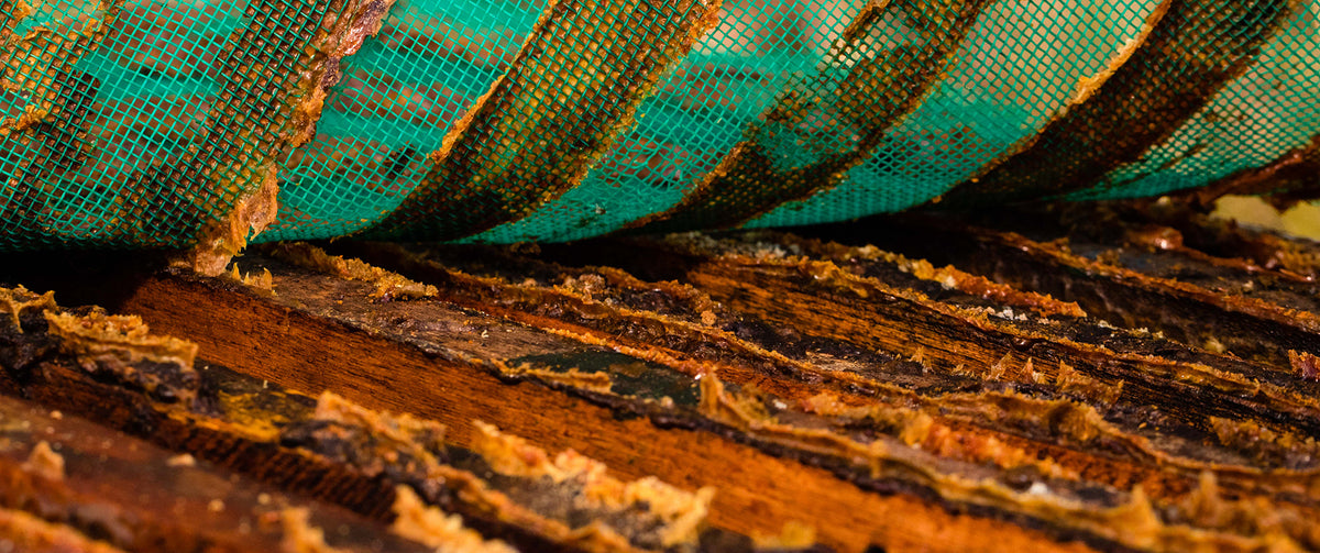 Savon végétal au miel, karité et propolis 100g Apivie