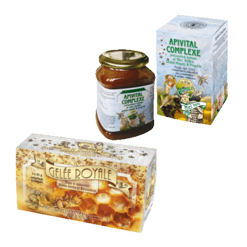Lot promotionnel: Apivital complexe 500g + Gelée royale 30j 60g - apivie