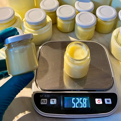 Gelée Royale - 10 jours 20g Apivie