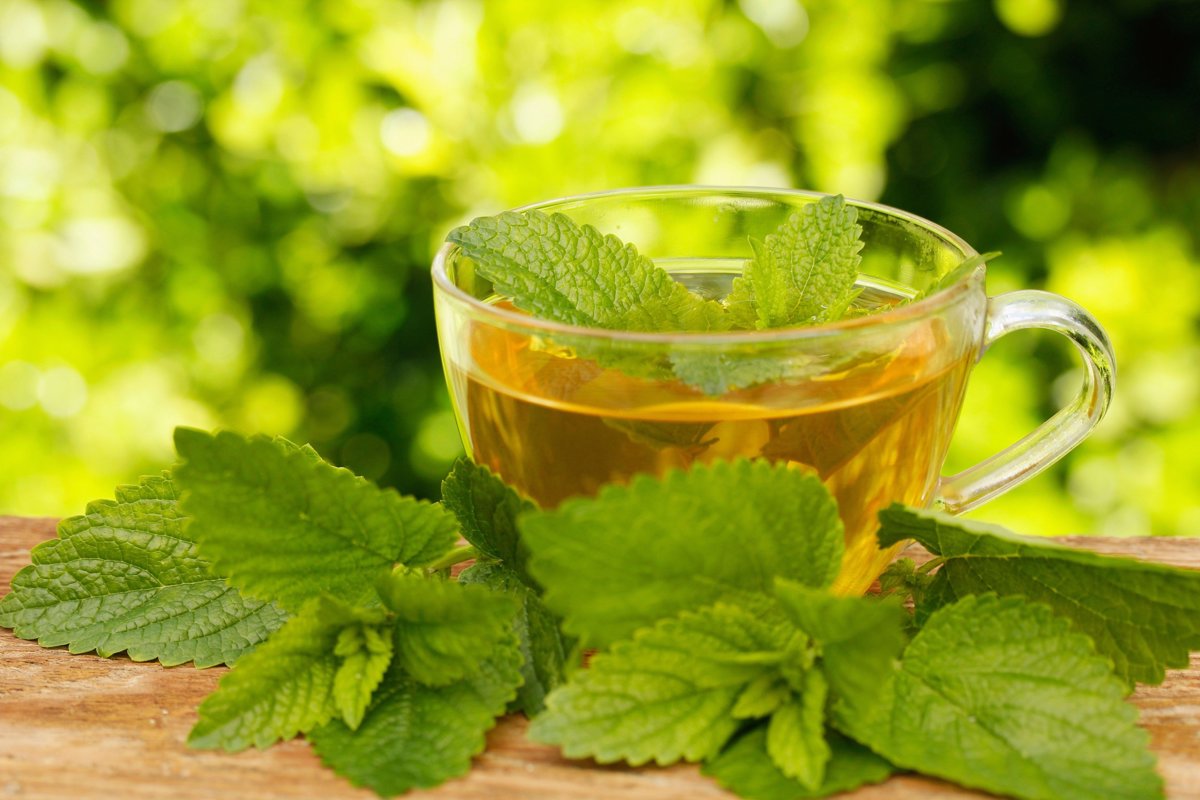 Savon végétal au miel et verveine 100g Apivie