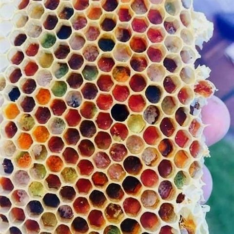 Apivital - Sirop miel, pollen, gelée royale, et propolis 150ml Apivie